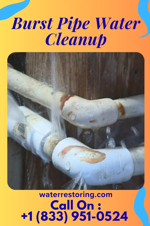 Burst Pipe Water Cleanup in Clayton, IA