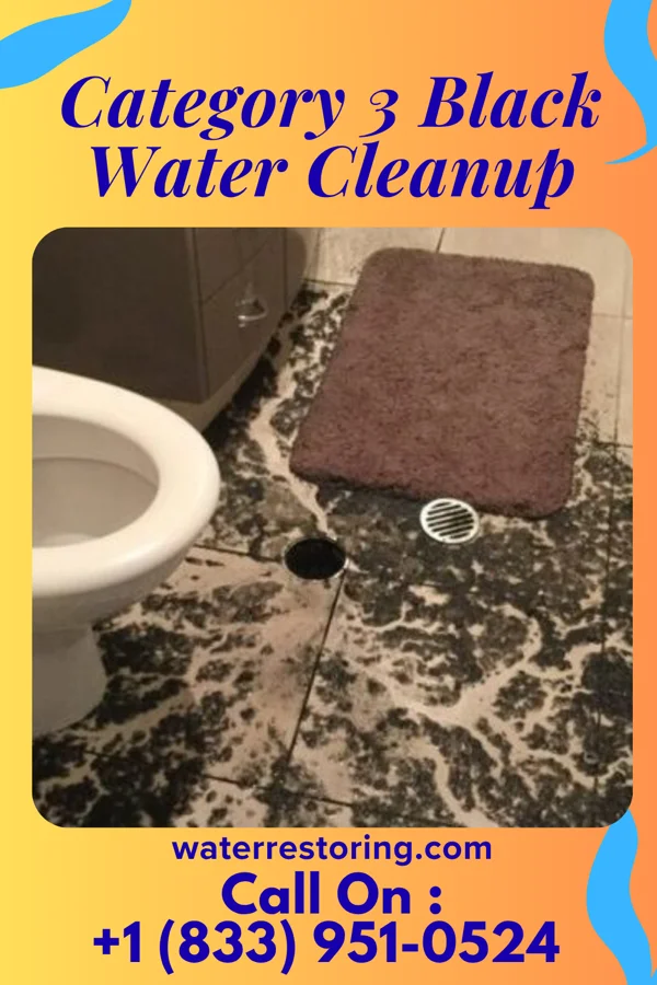 Category 3 Black Water Cleanup in Clayton, IA