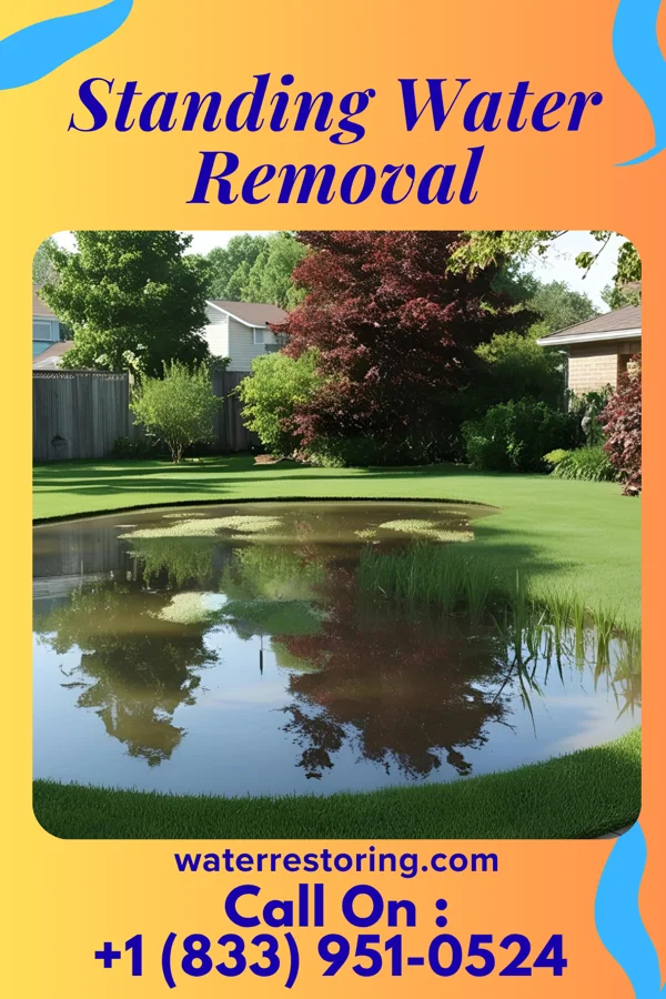 Standing Water Removal in Clayton, IA